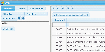 Example of search for cases assigned to a client in the eGAM platform.